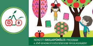 iskolagyumolcs_program